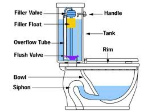 siphonic_process